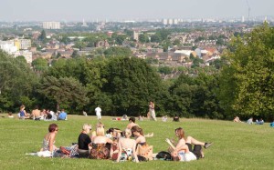 haringey